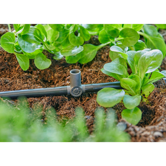 Gardena t-stuk voor sproeiers einddruppelaars 4,6 mm (3 16 ) verbinding (donkergrijs, 5 stuks)