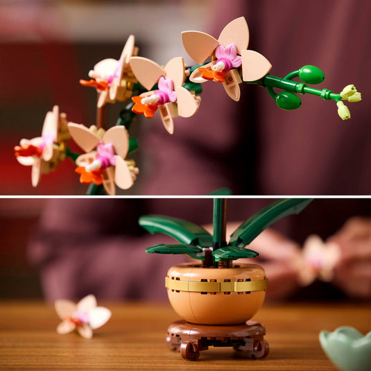 Lego botanical collection - miniorchidee constructiespeelgoed (10343)