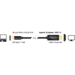 Delock usb-c naar hdmi kabel (zwart, 2 meter, 4k 30 hz, dp alt mode)