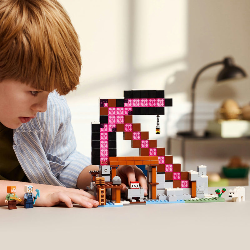Load image into Gallery viewer, Lego minecraft 21277 de pikhouweelmijn
