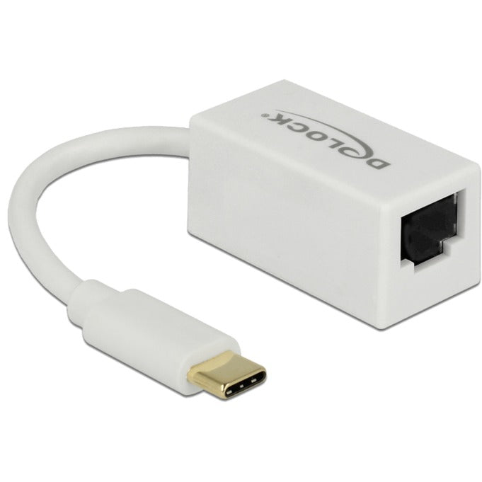 Load image into Gallery viewer, Delock superspeed usb-c (usb 3.1 gen 1) male > gigabit lan 10 100 1000 mbps compact adapter (wit, 0,135 meter)
