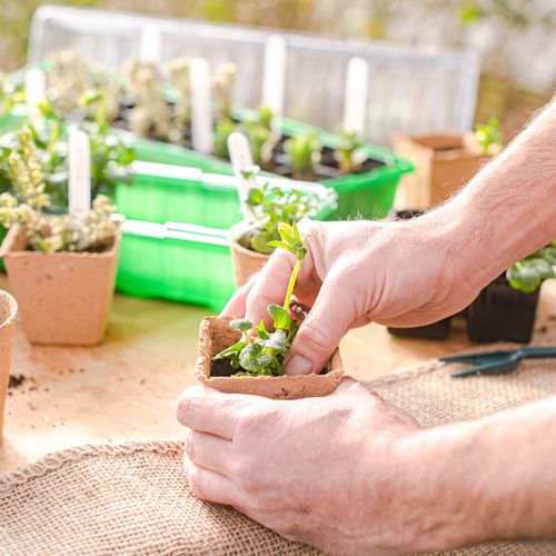 Load image into Gallery viewer, Connex set om jonge planten te verplaatsen - flor78850
