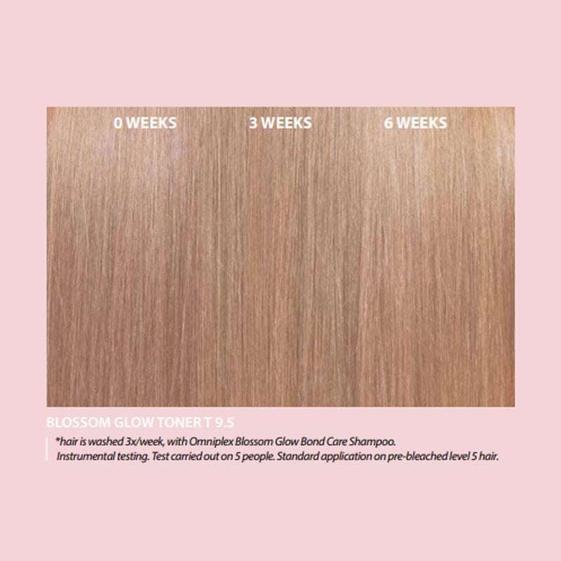 Load image into Gallery viewer, Farmavita omniplex blossom glow kit bond care ritual met shampoo en mask 250ml
