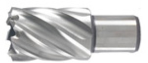 Hikoki accessoires kernboor 22x30 mm - 754411