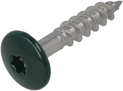 Load image into Gallery viewer, Hoenderdaal fasteners hoenderdaal hpl schroef rvs-a2 torx tx20 dennengroen ral6009 4.8x25 | 100 stuks - 0346.30.37122
