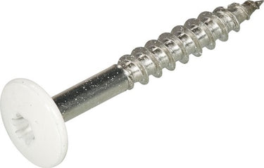 Hoenderdaal fasteners hoenderdaal hpl schroef rvs-a2 torx tx20 zuiver wit ral9010 4.8x38 | 100 stuks - 0346.30.37524