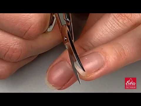 Erbe solingen nagelschaar met scherpe punt 9cm (erbe91361)