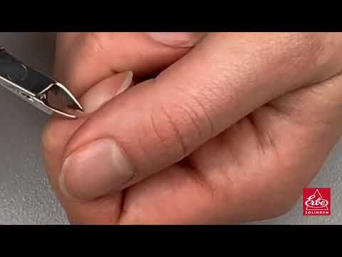 Erbe solingen puimsteen display (erbe2964c)