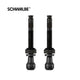 Schwalbe ventiel scv