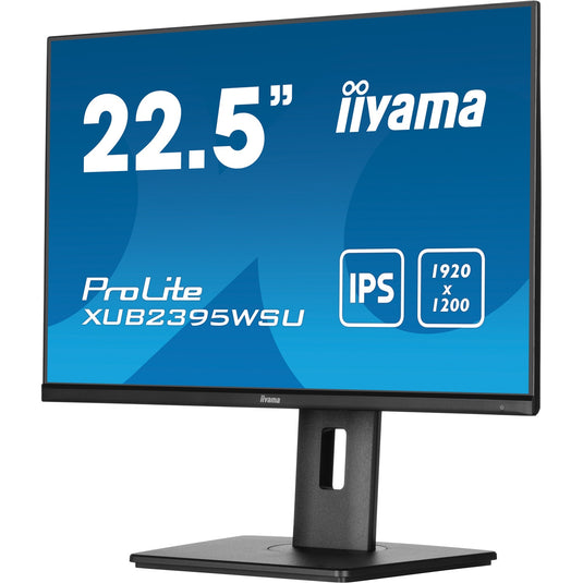Iiyama Iiyama ProLite XUB2395WSU-B5