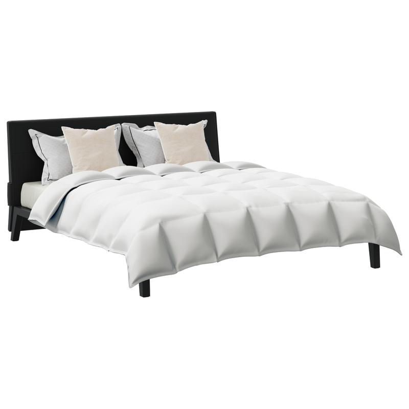 Load image into Gallery viewer, Vidaxl dekbed set met kussen 3 pcs wit donsveertjes

