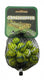 Don juan knikkers grasshopper 20+1