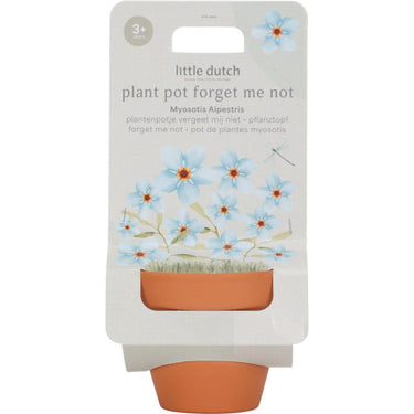 Little dutch plantenpotje vergeet-mij-nietjes