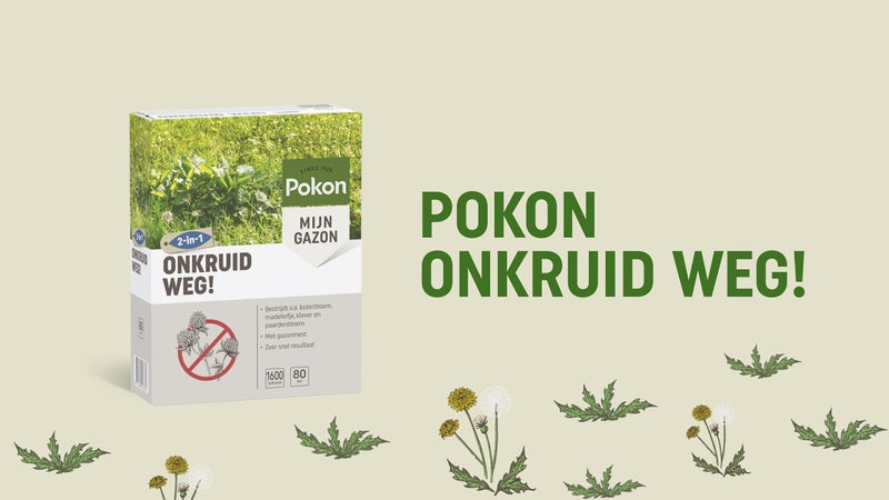 Load image into Gallery viewer, Pokon onkruid weg! 1,6kg voor 80m² - 7601772101
