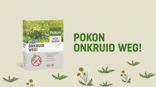 Pokon onkruid weg 5kg 250 m2