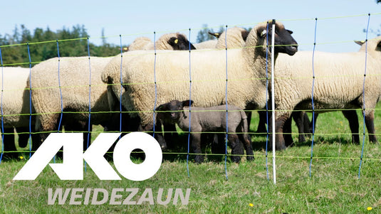 Ako vervangende paal voor schapennet titan enkele pen 90cm