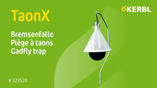 Dazenval taonx compleet