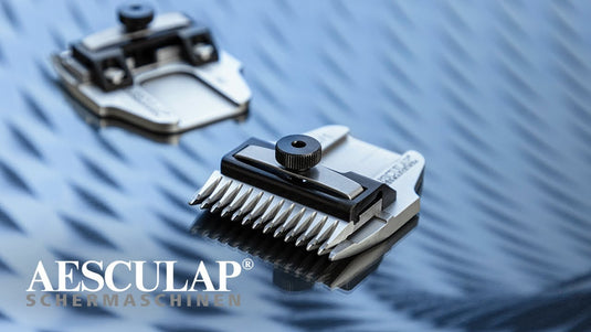 Aesculap econom producten scheerkop favorita speciaal potenkopje