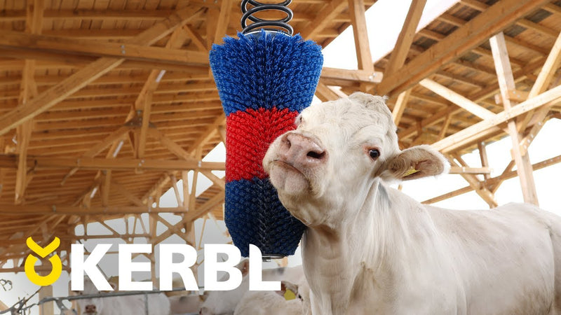 Load image into Gallery viewer, Happycow veeborstel flexiswing
