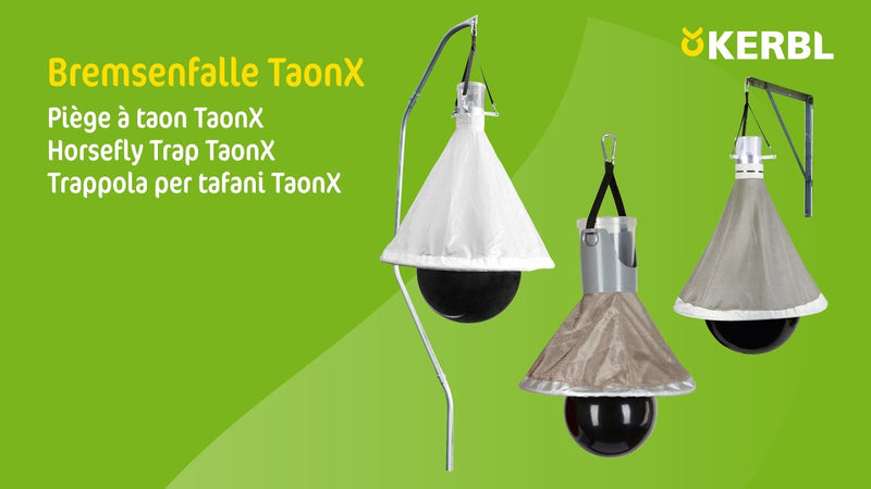 Load image into Gallery viewer, Dazenval taonx eco
