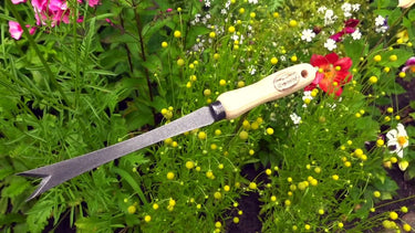 De wit producten bio paardenbloemsteker essen handvat 14cm dewit