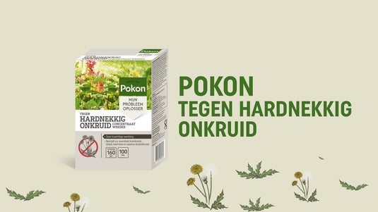 Pokon tegen hardnekkig onkruid concentraat 100ml weedex