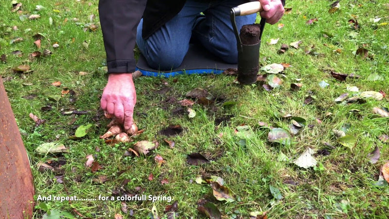 Afbeelding laden in galerijviewer, De wit producten bollenpoter 60mm met houten handgreep dewit
