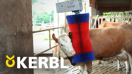 Producten happycow koeborstel maxiswing