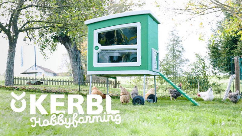 Load image into Gallery viewer, Abi producten mobilecoop kunststof kippenhok
