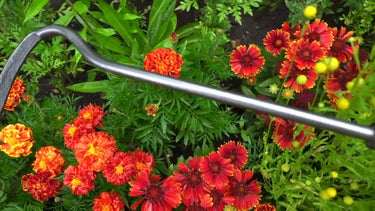 De wit producten cultivator 1 tands essen steel 140cm dewit