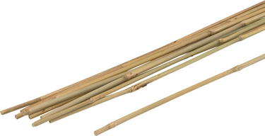 Meister plantenstok bamboe 120cm (10st) - wu9966410