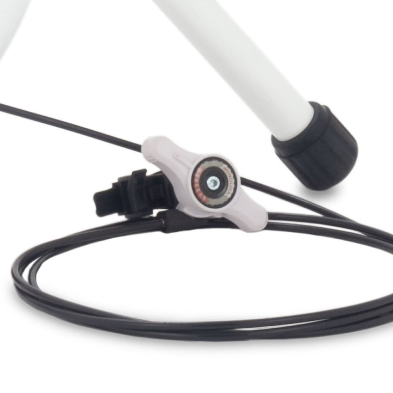Load image into Gallery viewer, Minoura trainer liveride lr241 mini met stuurschakelaar
