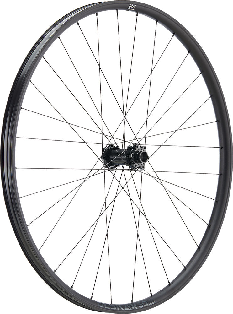 Load image into Gallery viewer, Newmen beskar 30 strong 27.5 6-bolt 15 20x110 fade front wheel
