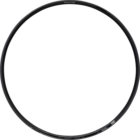 Newmen evolution sl x.r.25 29 rim