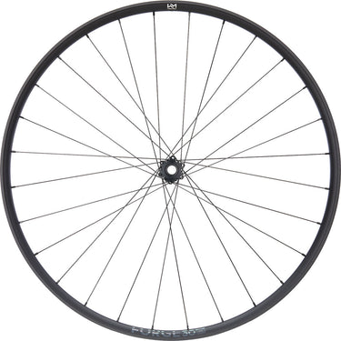 Newmen forge 30 base trail 29 6-bolt 15x110 fade front wheel