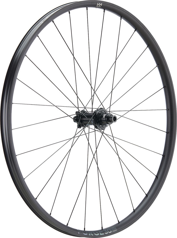 Load image into Gallery viewer, Newmen forge 30 base trail 29 6-bolt 12x148 fade rear wheel
