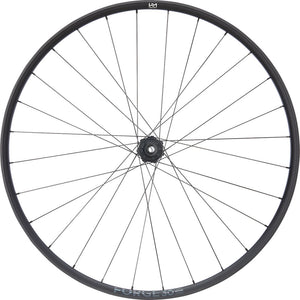 Newmen forge 30 base trail 29 6-bolt 12x148 fade rear wheel