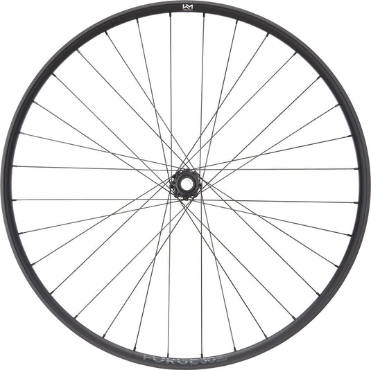 Newmen forge 30 strong enduro 29 6-bolt 15 20x110 fade front wheel