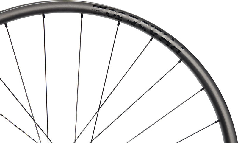 Load image into Gallery viewer, Newmen phase 30 strong 29 6-bolt 12x157 fade carbon rear wheel
