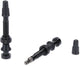 Newmen tubeless valve set