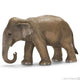 Schleich WILD LIFE Aziatische Olifant Vrouwtje 14753