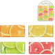 Magneet fruit vitaminekick 5,8 cm 4 assorti | 36 stuks