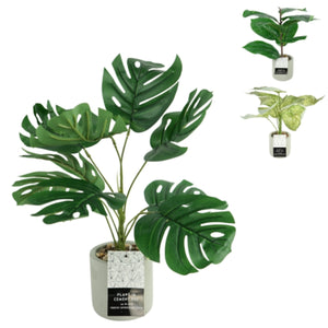 Kunstplant in cementen pot 40 cm 3 assorti | 12 stuks