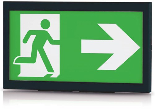 Afbeelding laden in galerijviewer, Enzo profolux led noodverlichting 3w in opbouw ip40 zwart - 5021725
