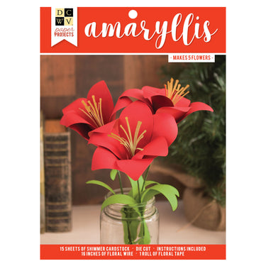 Dcwv • project stacks amaryllis