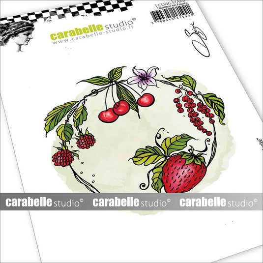 Carabelle studio • cling stamp a6 cercle fruité