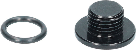 Shimano bleed screw with o-ring for st-r9120