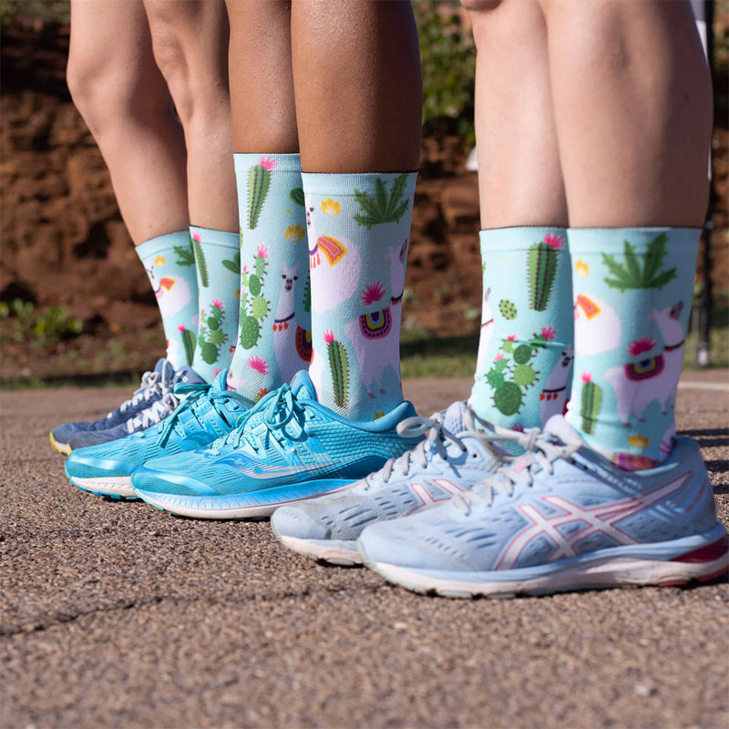 Load image into Gallery viewer, Sox footwear animals - socks
