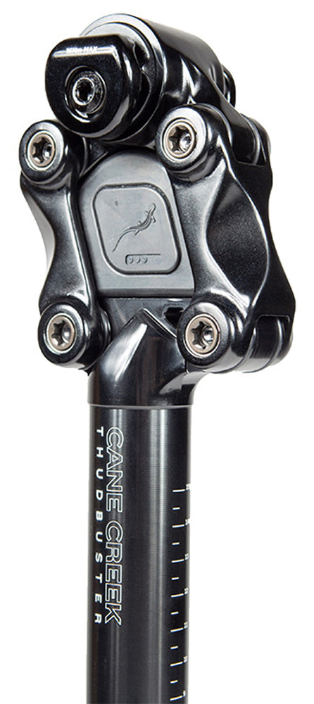 Load image into Gallery viewer, Cane creek thudbuster g4 st suspension seatpost
