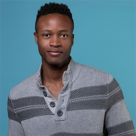 Load image into Gallery viewer, Superior achtergrondpapier 60 wedgewood 1,35 x 11m
